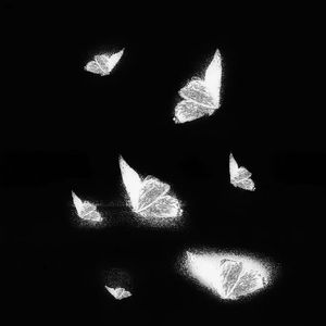 吴签网页版登录入口
