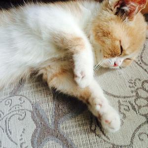 吴签网页版登录入口
