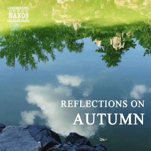 吴签网页版登录入口
